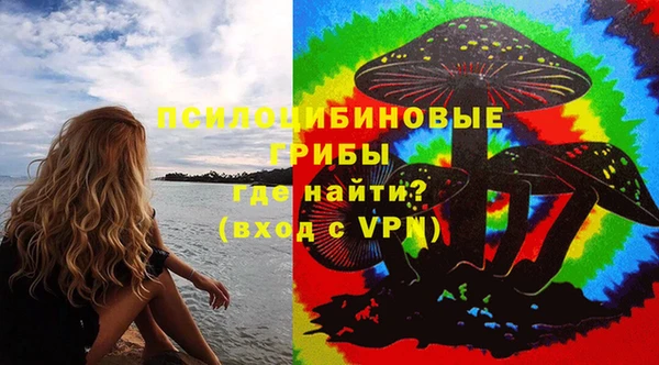мяу мяу кристалл Няндома