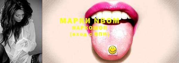 сатива Вяземский