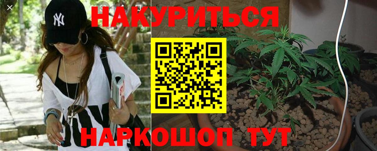 Бошки Шишки MAZAR Саранск